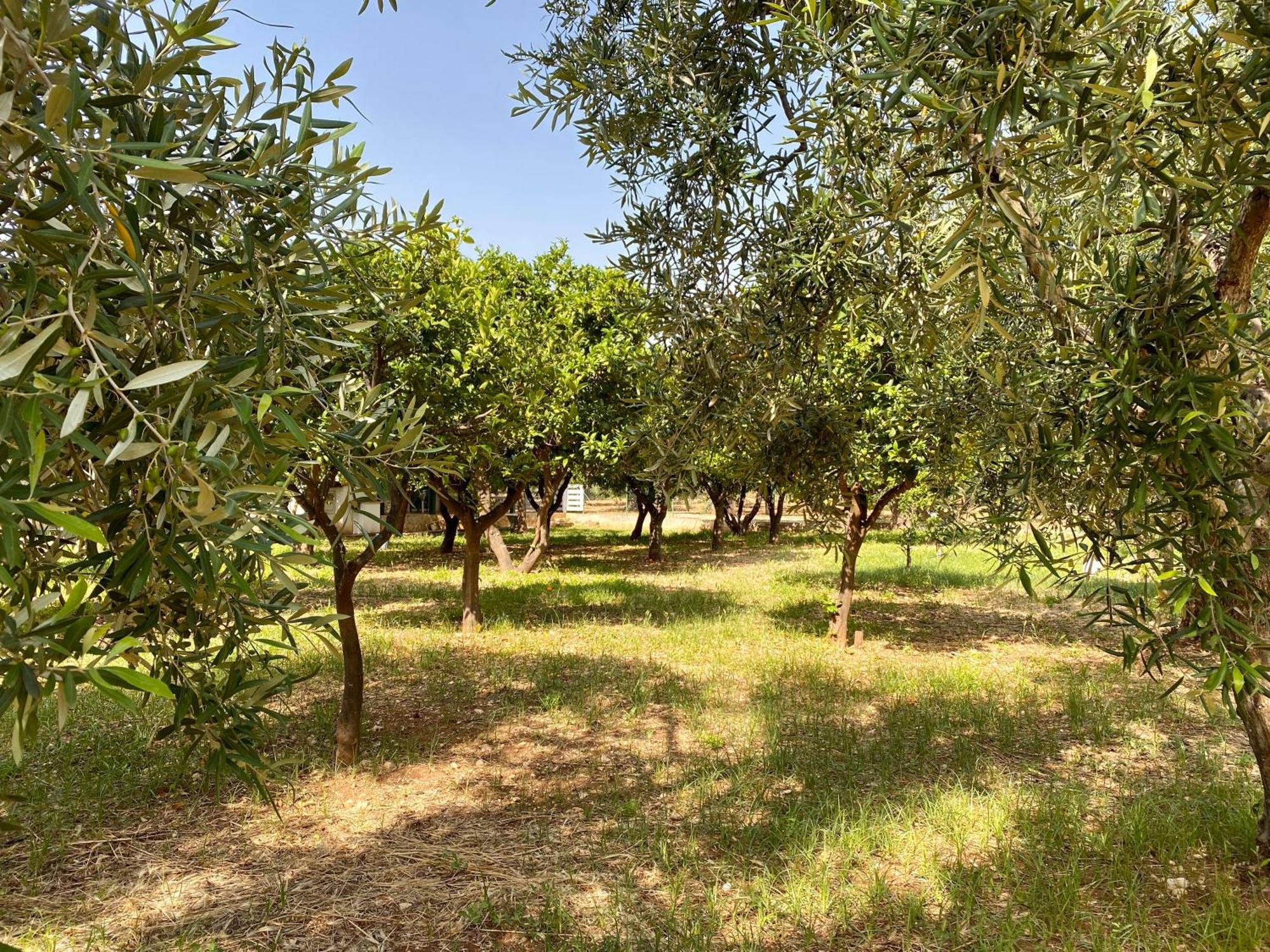 Villetta San Matteo Mattinata Exterior photo